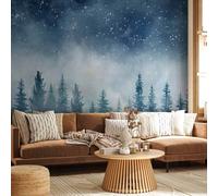 Papier peint photo autocollant - Paysage nocturne - Paysage d'une forêt brumeuse la nuit avec un ciel étoilé 343 x 256 cm Paysages c-A-10001-a-a