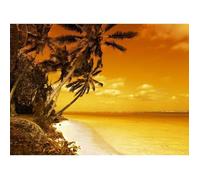 Papier Peint Photo INTISSÉ-(185021)-COUCHER DE SOLEIL DE PALM BEACH-350x260cm-7 lés-Mural Poster Géant XXL- Beach Mer Océan Nature J