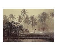 Papier Peint Photo INTISSÉ-(18929) PALMIERS-350x260cm-7 lés-Mural Poster Géant XXL-Beach Mer Océan Nature Jungle Forêt Dune Paysage