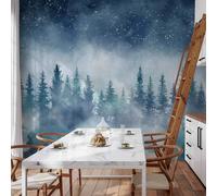 Papier peint photo non tissé - Paysage nocturne - Paysage d'une forêt brumeuse la nuit sous un ciel étoilé 350 x 256 cm Paysages c-A-10001-a-a