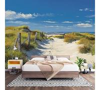 Papier Peint Photo Panoramique 3D Sentier Des Dunes De La Plage Poster Papier Peint Intissé Bleu, Tapisserie Panoramique Salon, Décoration Mural Bureau Enfants Chambre 450x315 cm