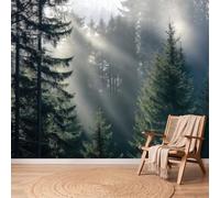 Papier Peint Pin Rayon De Lumière Brume, 400 x 280 cm Non collé Mural | Vert Papier Peint Intissé Panoramique Murale Chambre Salon Bureau Decoration, Photographie Paysage Facile à nettoyer Mural