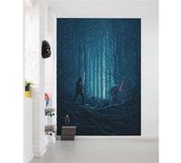 Papier Peint - Star Wars Wood Fight 200x280cm - Intissé, Bleu G