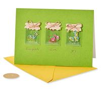 Papyrus Carte d'anniversaire pour elle (bocaux avec fleurs) 6608393 Multicolore