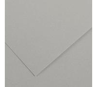 Paquet de 10 feuilles de papier Colorline CANSON 50 x 65 cm 150 g gris clair