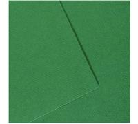 Paquet de 10 feuilles Mi-Teintes CANSON 50 x 65 cm 160 g coloris vert billard