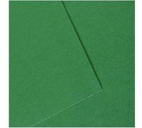 Paquet de 10 feuilles Mi-Teintes CANSON 50 x 65 cm 160 g coloris vert billard