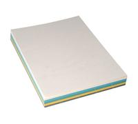 Paquet de 100 couvertures grain cuir 250g A4 coloris assortis