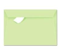 Paquet de 20 enveloppes de visite Pollen 90x140mm FT30 Vert 120g Vert G