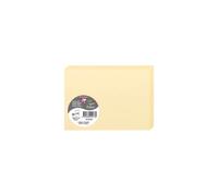 Paquet de 25 cartes pliées Pollen 110x155mm 210g/m2 - Chamois