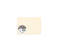Paquet de 25 cartes pliées Pollen 110x155mm 210g/m2 - Ivoire