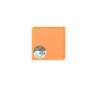 Paquet de 25 cartes pliées Pollen 135x135mm 210g/m² - Clémentine