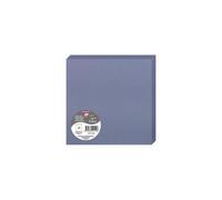 Paquet de 25 cartes pliées Pollen 160x160mm 210g/m2 - Myosotis