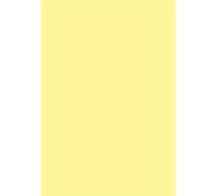 Paquet de 25 cartes pliées Pollen 160x160mm Jaune Canari 210g G
