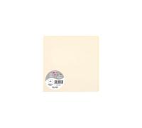Paquet de 25 cartes simples Pollen 160x160mm 210g/m2 - Ivoire