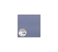 Paquet de 25 cartes simples Pollen 160x160mm 210g/m2 - Myosotis