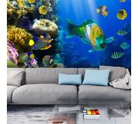 Paradis Sous Marins