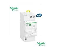 Schneider Electric - Resi9 - parafoudre combi - 10kA - 1P+N sans accessoires - R9PLS