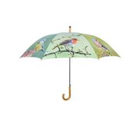 Parapluie Oiseaux