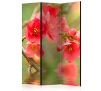 Paravent 3 Volets Azalea Reflected in the Water 135x172cm