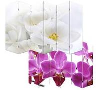 Mendler M68 Orchidée blanche/violette