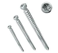 PARCO Lot de 100 vis pour cadre de fenêtre 7,5 x 252 mm | Tête cylindrique | pour construction de fenêtres | TX30