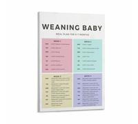 Parenting Guide Poster Baby Weaning Chart Introducing Solid Foods First Foods Educational Canvas Wall Art Decor(Unframed,16x24inch(40x60cm))