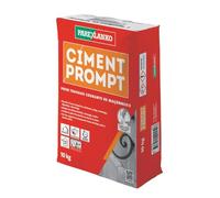 Parexlanko - Ciment Prompt - Gris - Confection de mortier à prise rapide - Tous supports de maçonnerie - Adapté en milieux humide et marin - 10kg
