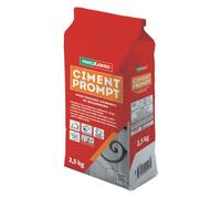 Parexlanko - Ciment Prompt - Gris - Confection de mortier à prise rapide - Tous supports de maçonnerie - Adapté en milieux humide et marin - 2,5kg