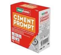 Parexlanko - Ciment Prompt - Gris - Confection de mortier à prise rapide - Tous supports de maçonnerie - Adapté en milieux humide et marin - 1kg
