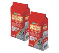 Parexlanko - Ciment Prompt - Gris - Confection de mortier à prise rapide - Tous supports de maçonnerie - Adapté en milieux humide et marin - 2,5kg (Lot de 2)