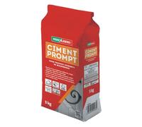 Parexlanko - Ciment Prompt - Gris - Confection de mortier à prise rapide - Tous supports de maçonnerie - Adapté en milieux humide et marin - 5kg