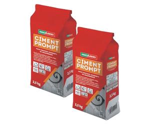 Parexlanko - Ciment Prompt - Gris - Confection de mortier à prise rapide - Tous supports de maçonnerie - Adapté en milieux humide et marin - 2,5kg (Lot de 2)