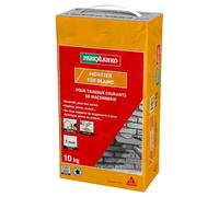 Parexlanko - Mortier de finition - Mortier Fin - Blanc - 10kg | Granulométrie 0-1 mm - Pour brique, pierre et ciment - Finition fine - Colorable en blanc