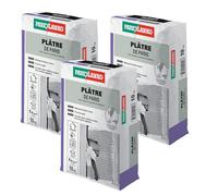 Parexlanko - Plâtre fin pour réparation, rebouchage et scellement en intérieur - Prise très rapide - 10kg (Lot de 3)