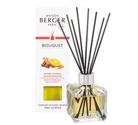 Parfum Berger 6002 Bouquet Parfum Cube Orange de Cannelle Transparent