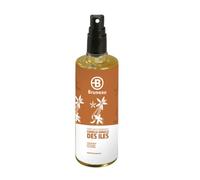Parfum d'ambiance Bruneau cannelle vanille des îles - Vaporisateur 125 ml - Aérosols & sprays désodorisants - Bruneau