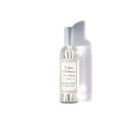 Parfum d'ambiance eucalyptus menthe