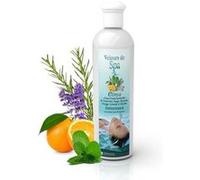 Camylle - Velours de Spa Elinya - Fragrance à base d'Huiles Essentielles 100% Pures et Naturelles pour Spa - Amincissant aux arômes purs et intenses - 250ml