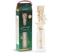 Estéban Parfum d'intérieur Bouquet Sapin Exquis 100 ml
