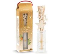 Estéban Bouquet parfumé Thé et pain d'épice 100 ml