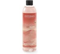 Parfum d'intérieur Esteban Recharge bouquet parfumé Terre d'Ocre Karité Multicolore