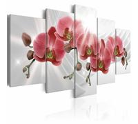 Paris Prix Abstract Garden: Red Orchis - Multicolore
