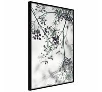 Paris Prix Affiche Encadrée Sprinkled with Flowers 40x60 cm