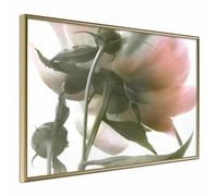 Paris Prix Affiche Under the Flower 60x40 cm - Or