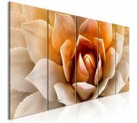 Paris prix Agave Narrow Orange - 0x0 cm