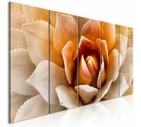 Paris Prix Agave Narrow Orange - 5 Panneaux