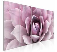 Paris prix Agave Narrow Pink - 0x0 cm