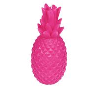 Paris prix Ananas Tropical - Rose