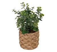 Paris Prix Atmosphera Créateur d'intérieur - Eucalyptus Artificiel en Pot Jaye 27cm Vert